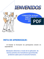 Anexo 1 Inducción BPM PDF