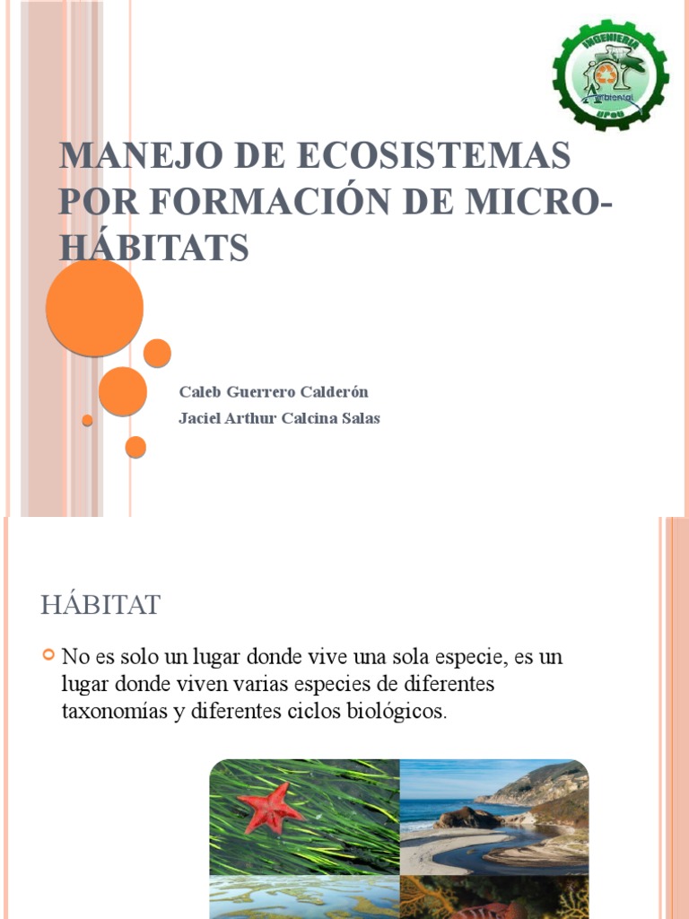 MICROHABITATS | PDF | Ecosistema | Habitat