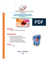 Acceso Endodontico