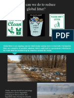 What Can We Do To Reduce Global Litter?: Karolina Stasyuk 8-A