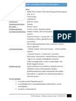 A Gomba Alatt Dramatizálás - Verselés, Mesélés, Dramatikus Játékok Tevékenységterv Vázlat