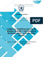 Módulo I-C. Niñez y Adolescencia en Riesgo Social y Víctima de Violencia