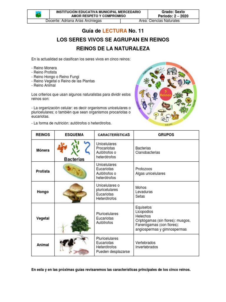 Características de los Reinos Monera y Protista | PDF | Algas | Las  bacterias