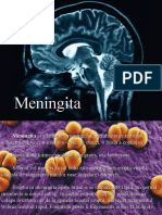 Meningita