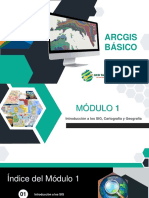 INTRODUCCIÓN DE LOS GIS.pdf