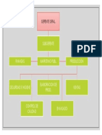 Organigrama Empresa de Shampoo PDF