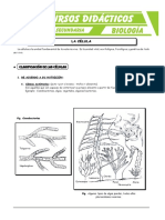 Que-es-la-Celula-para-Cuarto-de-Secundaria.pdf