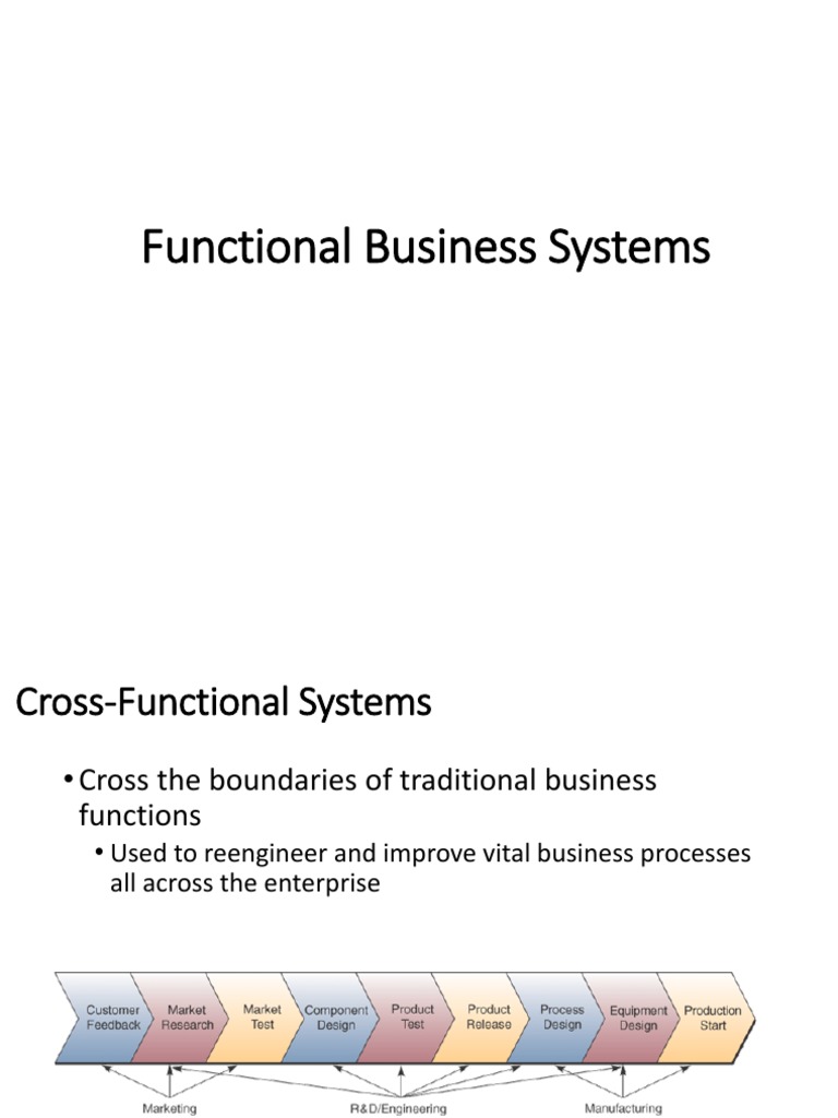 Functional Business Systems | Download Free PDF | Enterprise Resource ...
