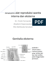 Anatomi Alat Reproduksi Wanita Interna Dan Eksterna