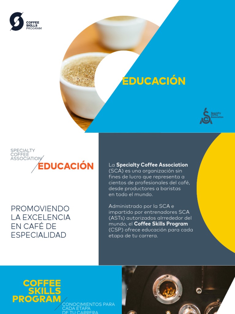 Programa de Habilidades de Café SCA | PDF | café | Bebida