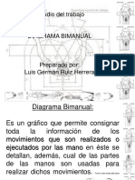 Diagrama Bimanual-presentacion 8.pdf
