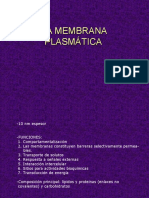 Estructurayfuncionmembrana Plasmática