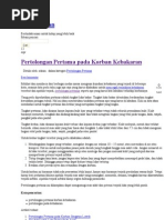 Download Pertolongan Pertama pada Korban by Salam Net SN47751490 doc pdf