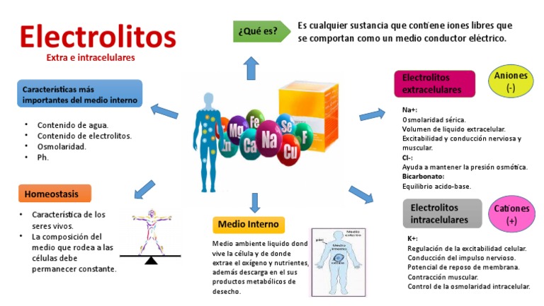 Que Es Electrolitos En Ciencias Naturales