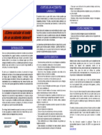 Triptico Calculo Coste Accidente