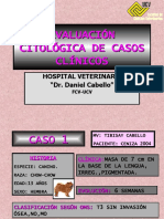 2EVALUACIÓN CITOLÓGICA DE CASOS CLÍNICOS 2.ppt