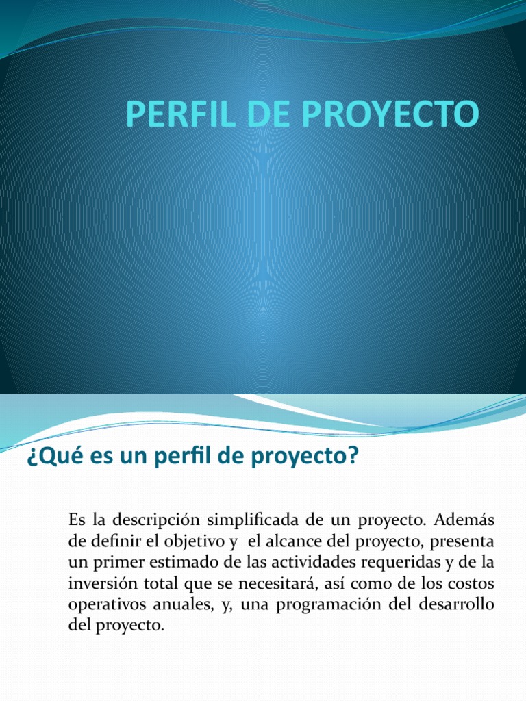 Guía Completa del Perfil de Proyecto | PDF | Oferta (economía ...