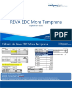 Reva Nuevos Ejecutivos Mora Temprana