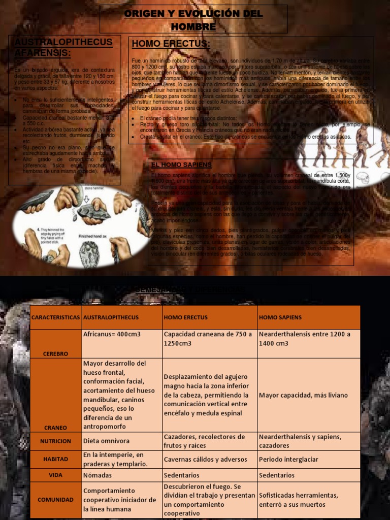 Origen y Evolucion Del Hombre | PDF | Homo | Homo Sapiens
