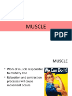 KD4 Skeletal&muscularsystem3