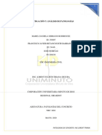 Trabajo Final de Patologías en Concreto PDF