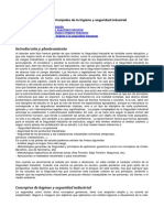 Nociones Principales Higiene y Seguridad Industrial