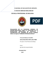 articulo cientifico .pdf