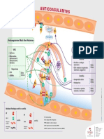 16-7027 PT-Anticoagulantes Bresil V4