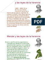 Mendel y La Genetica