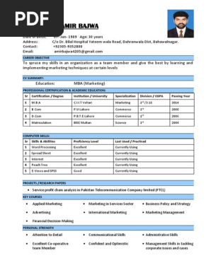 Muhammad Amir Bajwa CV