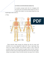 LP Sistem Muskuloskeletal