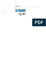 (Type The Document Subtitle) : Report On Brac Bank LTD