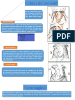 391762715-Maniobras-Leopold.pdf