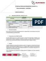 Ingenieria de Detalle Cluster CL-1