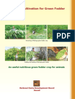 moringa-oleifera-eng.pdf