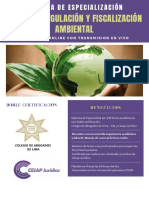 DRFA 20 Dery.pdf