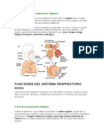 sistema respiratorio.docx
