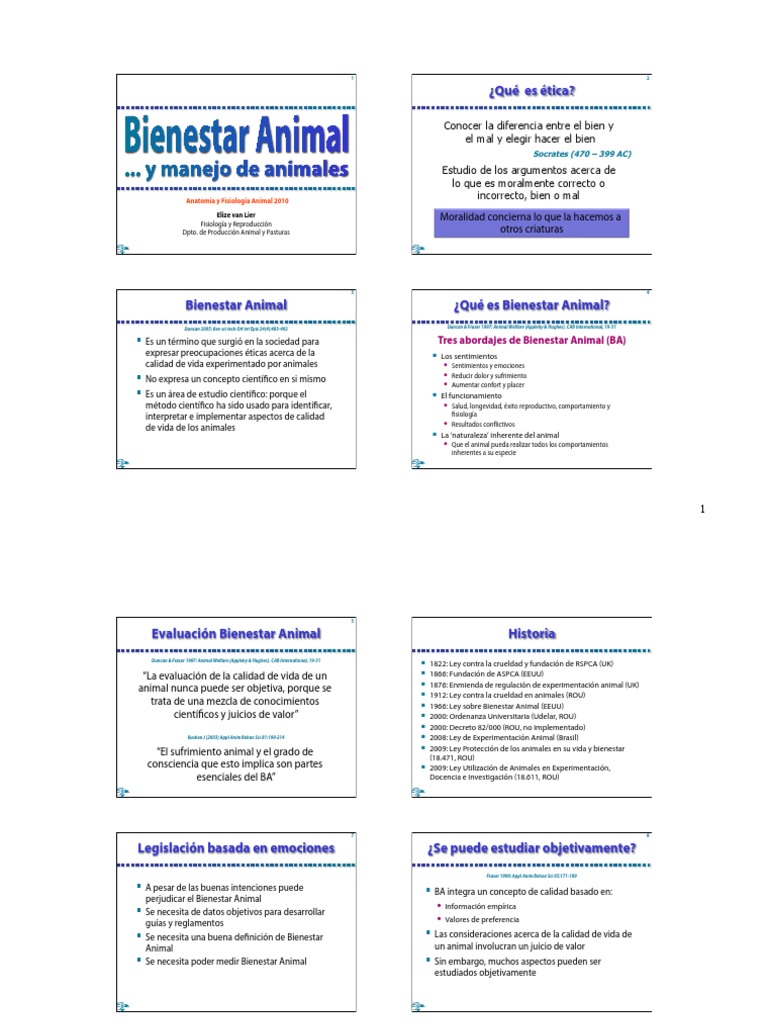 28 - Bienestar Animal y Manejo de Animales | PDF | Bienestar de los ...