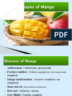 Major Diseases of Mango