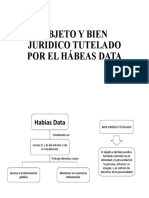 Objeto y Bien Jurídico Tutelado Por El Hábeas