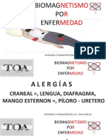 Curso de Biomagnetismo 1