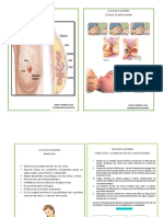 Documento Lactancia Materna