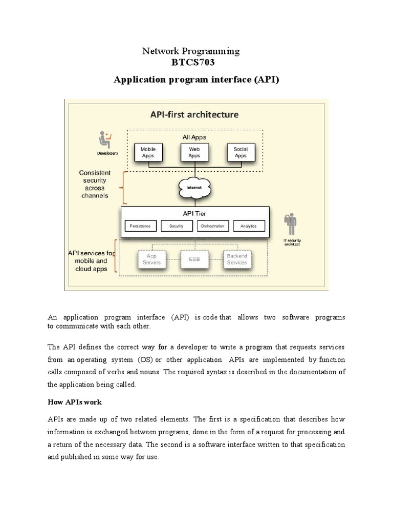 Application Program Interface API | PDF | Application Programming ...