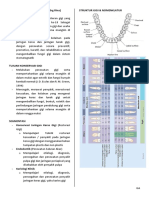Konser 2 PDF