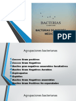 Microbiología - Cocos (positivos y negativos)