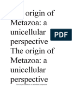 The origin of Metazoa