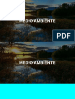 Medio Ambiente PDF