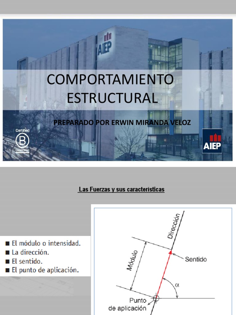 Comportamiento Estructural por Erwin Miranda | PDF