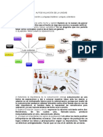 Autoevaluación de La Unidad