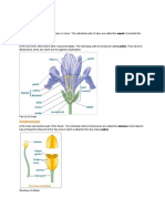 Parts of A Flower